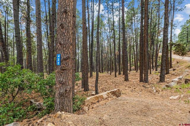 432 Blue Ridge Drive - Under Contract